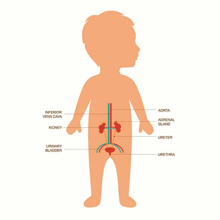 childrens-urinary-health-problems